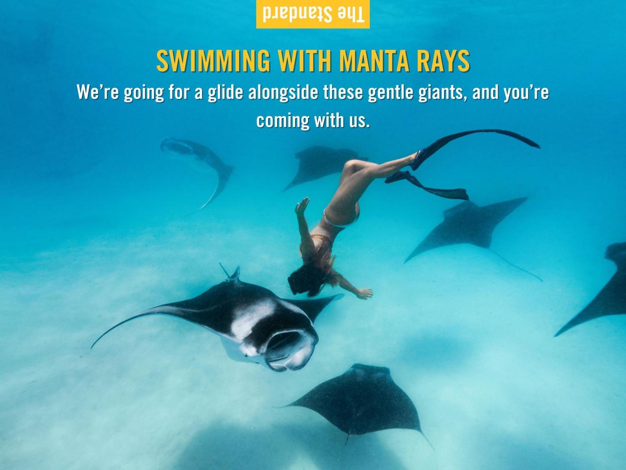 Курортный комплекс The Standard, Huruvalhi Maldives (adults Only)